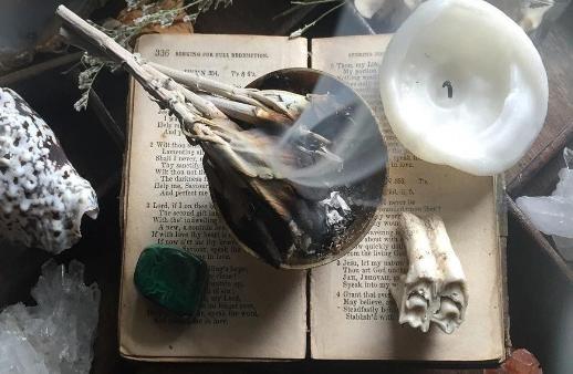 Armonía y Bienestar